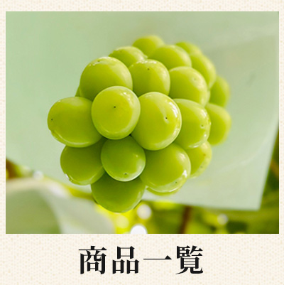 商品一覧