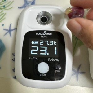 やまのかみファームのデラウェアが糖度23.1度で甘い