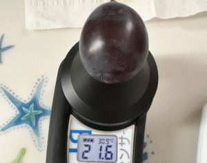やまのかみファームのピオーネを非破壊糖度計で測定 糖度21.6度で甘い