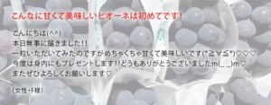 やまのかみファームが通販でお届けするぶどう 種なしピオーネの感想