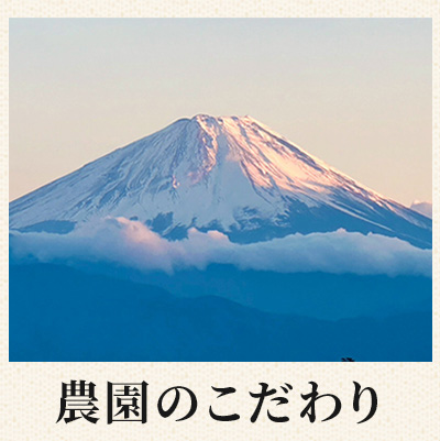 こだわり