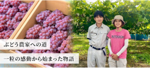 山梨ぶどう産直やまのかみファームの農園物語