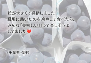山梨ぶどう産直やまのかみファームが通販でお届けするぶどう 種なしピオーネの感想