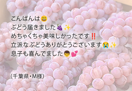 やまのかみファームが通販でお届けするぶどう 甘い種なしデラウェアの感想