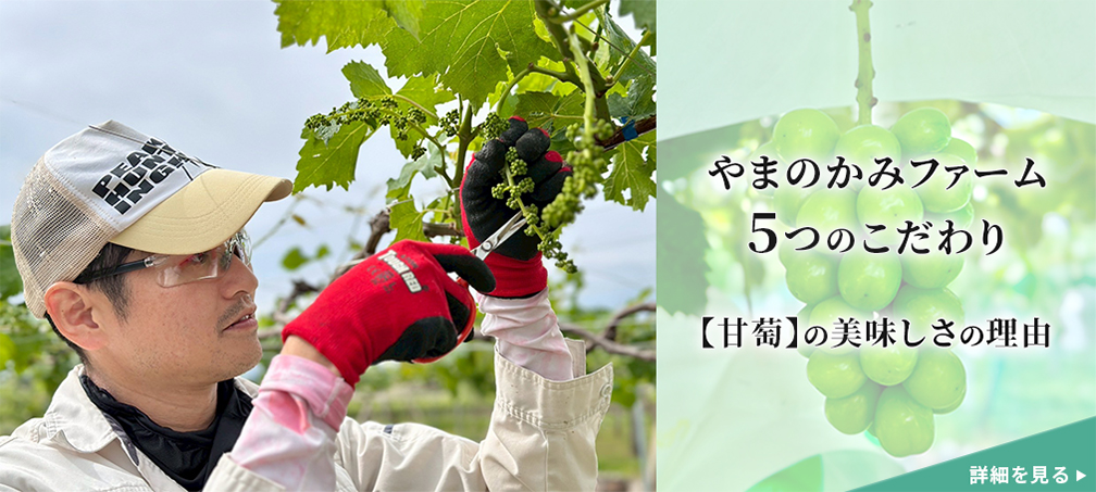 やまのかみファームの挑戦