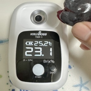 やまのかみファームのピオーネが糖度23.1度で甘い