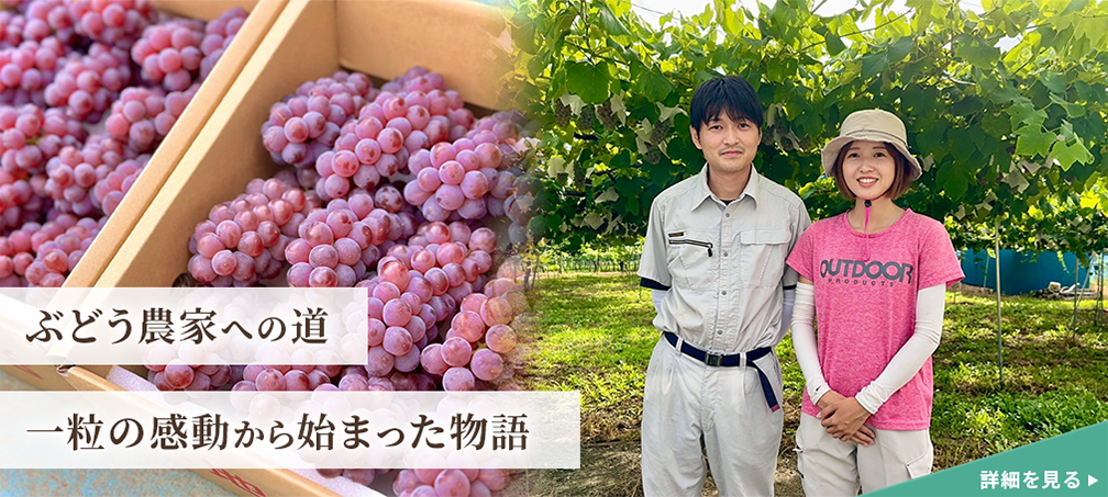 山梨のぶどう農園やまのかみファームの物語