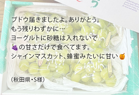 山梨ぶどう産直やまのかみファームが通販でお届けするぶどう ギフトにも最適な甘いシャインマスカット