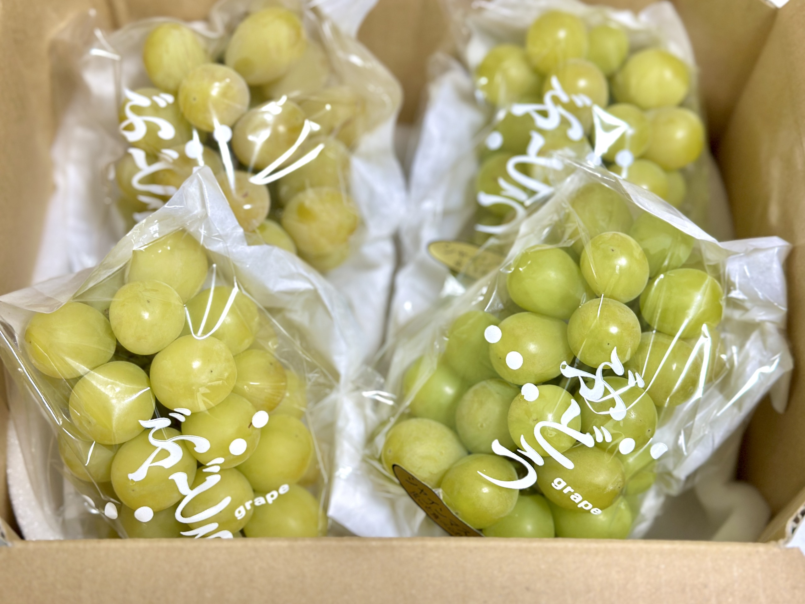 grape5
