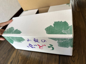 やまのかみファームの通販でお届けする大房ぶどう 「彩」等級1.5kgの箱