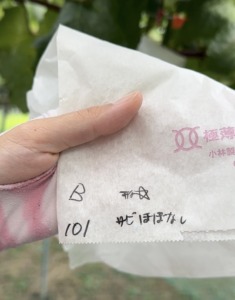 通販でお届けするやまのかみファームのぶどう ピオーネの等級チェック