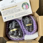 やまのかみファームが通販でお届けするぶどう 種なしピオーネ