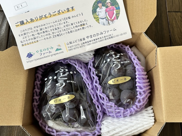 やまのかみファームが通販でお届けするぶどう 種なしピオーネ