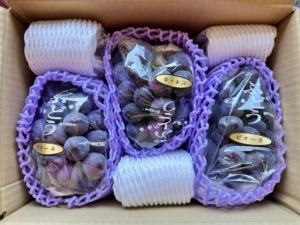 やまのかみファームが通販でお届けするぶどう 種なしピオーネ