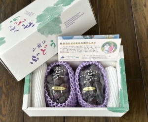 山梨ぶどう産直やまのかみファームが通販でお届けするぶどう ギフトにも最適な甘い種なしピオーネ