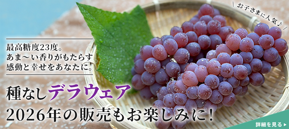 やまのかみファームが山梨から通販でお届けする商品 種なしデラウェア